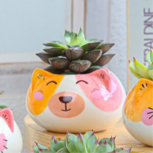 Bear ceramic planter