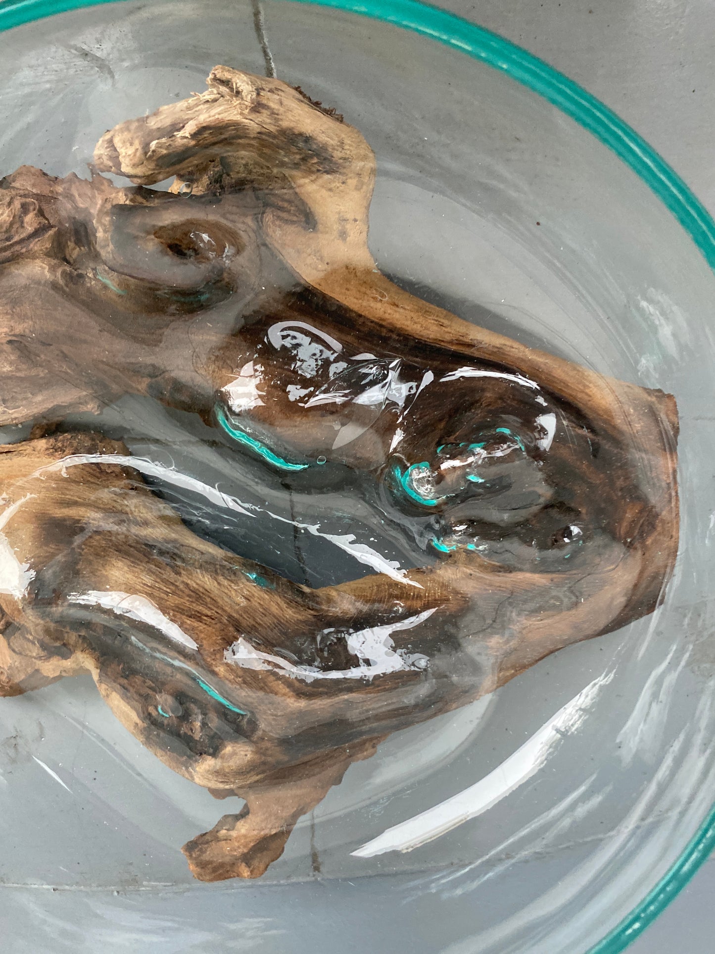 Molten Glass on polished teak Driftwood-Oceanbowl(medium)