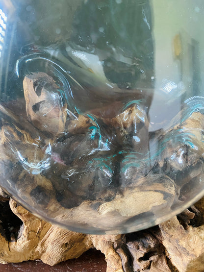 Wavecrest Molten Glass on Driftwood-Model 17