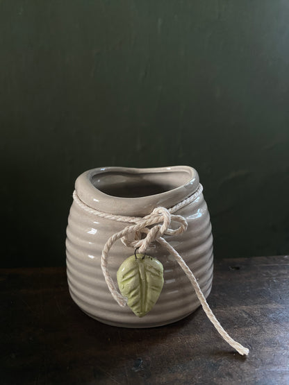 Grey leaf hanging planter