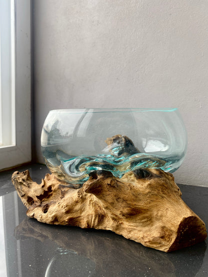 Molten Glass on polished teak Driftwood-Oceanbowl(small)