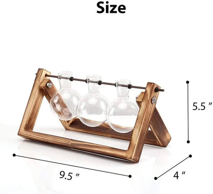 Test tube planter 06