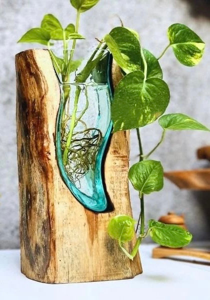 Molten Glass on polished teak Driftwood-forestwall