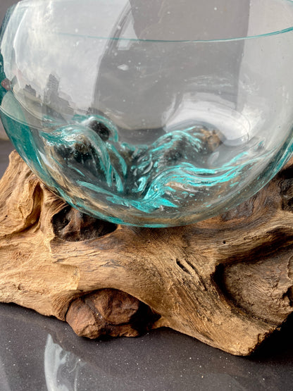 Molten Glass on polished teak Driftwood-Oceanbowl(small)