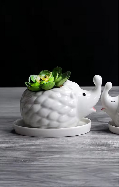 Hedgehog shaped ceramic planter pot