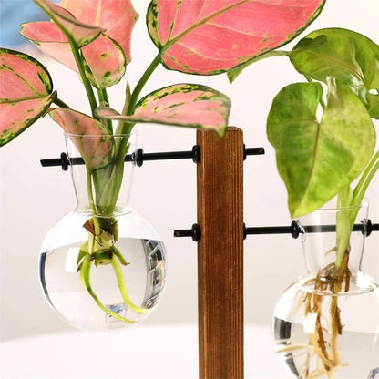 Test tube planter 04