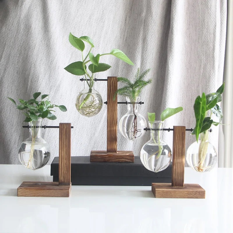 Test tube planter 04