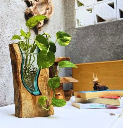 Molten Glass on polished teak Driftwood-forestwall