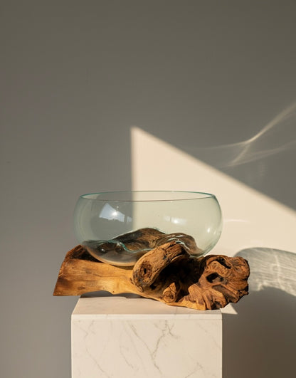 Molten Glass on polished teak Driftwood-Oceanbowl(medium)
