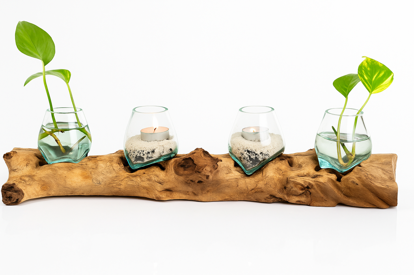 Four Molten Glass on Driftwood base(Pre-order)