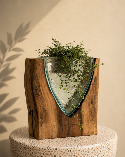 Small Molten Glass on natural Driftwood-forestwall