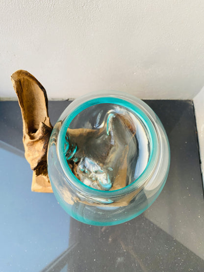 Molten Glass on polished teak Driftwood(rare limited edition)