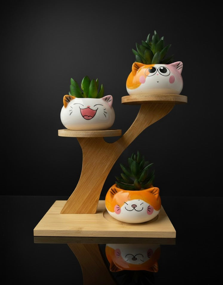 3 Cute Cat Ceramic Planters with Artificial Succulents & Diy Wooden Stand for Desk, Home & Office Table Decoration Gift Set