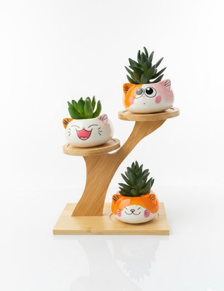 3 Cute Cat Ceramic Planters with Artificial Succulents & Diy Wooden Stand for Desk, Home & Office Table Decoration Gift Set