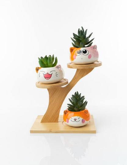 3 Cute Cat Ceramic Planters with Artificial Succulents & Diy Wooden Stand for Desk, Home & Office Table Decoration Gift Set