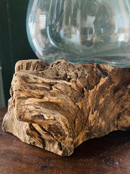Wavecrest Molten Glass on Driftwood-Model 11