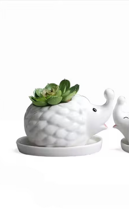 Hedgehog shaped ceramic planter pot