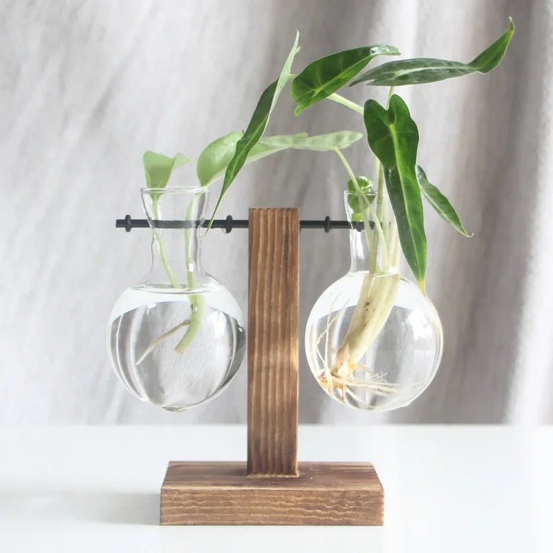 Test tube planter 03