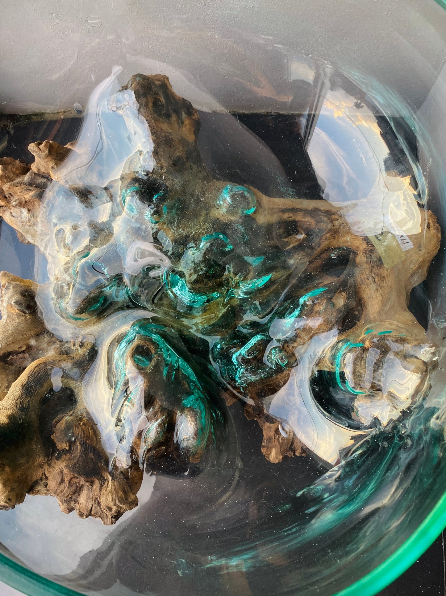 Molten Glass on polished teak Driftwood-Oceanbowl(xlarge)