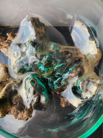 Molten Glass on polished teak Driftwood-Oceanbowl(xlarge)