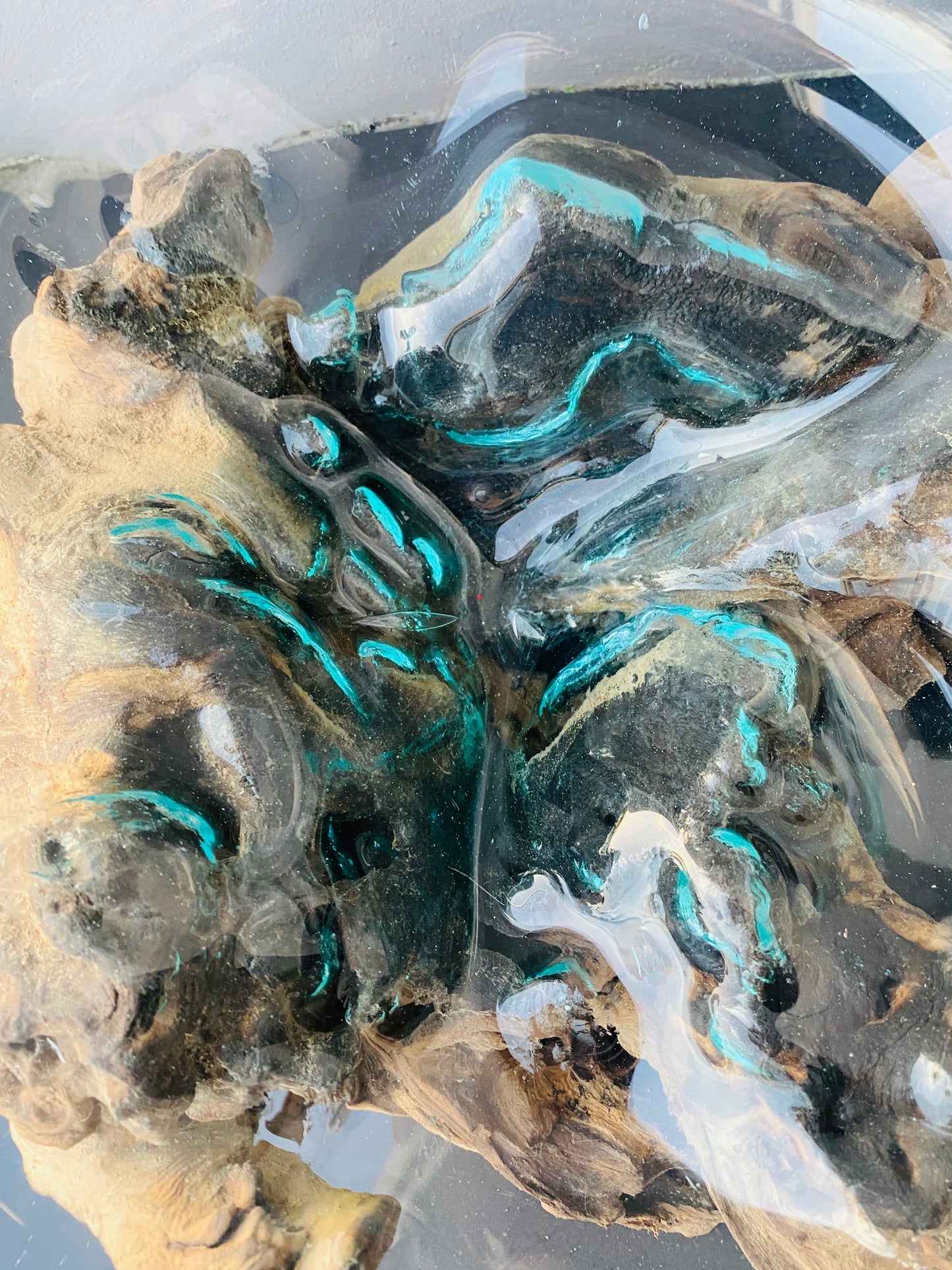 Molten Glass on teak Driftwood-Oceanbowl(medium)