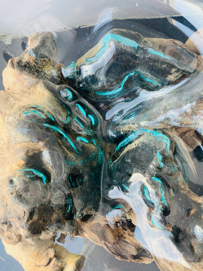 Molten Glass on teak Driftwood-Oceanbowl(medium)