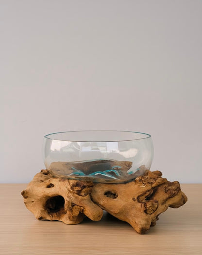 Molten Glass on teak Driftwood-Oceanbowl(large)