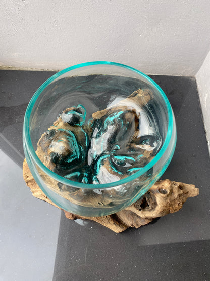 Molten Glass on polished teak Driftwood-Oceanbowl(small)