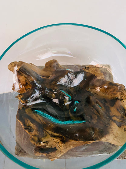 Molten Glass on polished teak Driftwood-Oceanbowl(medium)