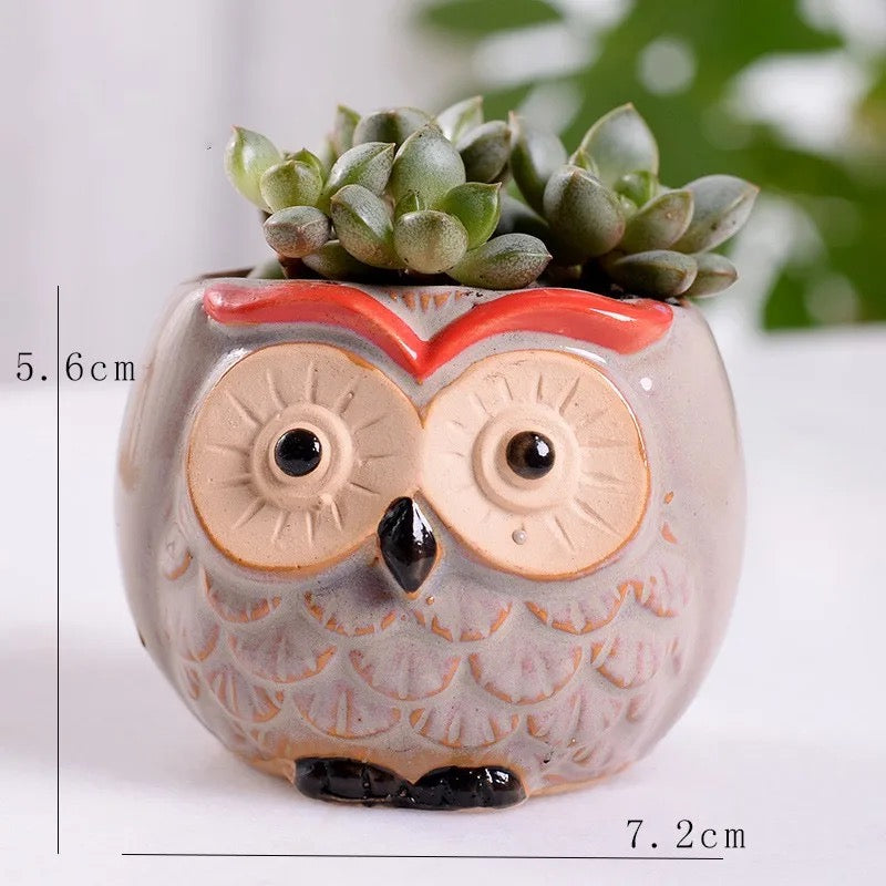 Owl themed ceramic Plant Pots (SET OF 6)