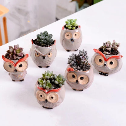 Owl themed ceramic Plant Pots (SET OF 6)