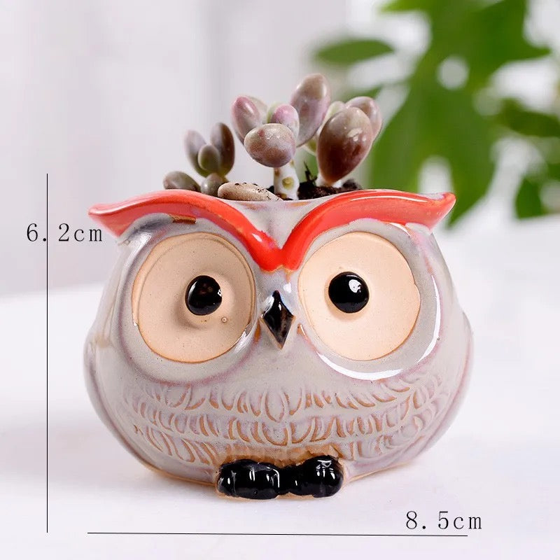 Owl themed ceramic Plant Pots (SET OF 6)