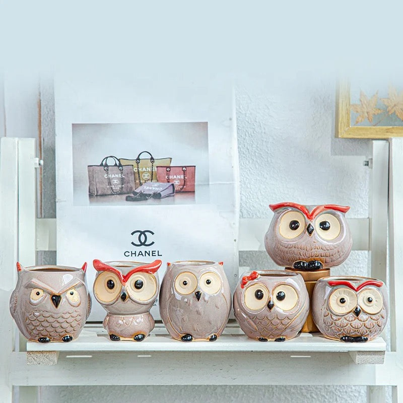 Owl themed ceramic Plant Pots (SET OF 6)