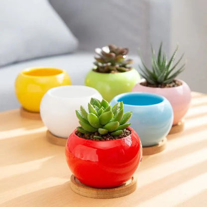 Glazing ceramic planter combo offer(set of 10 different colors)