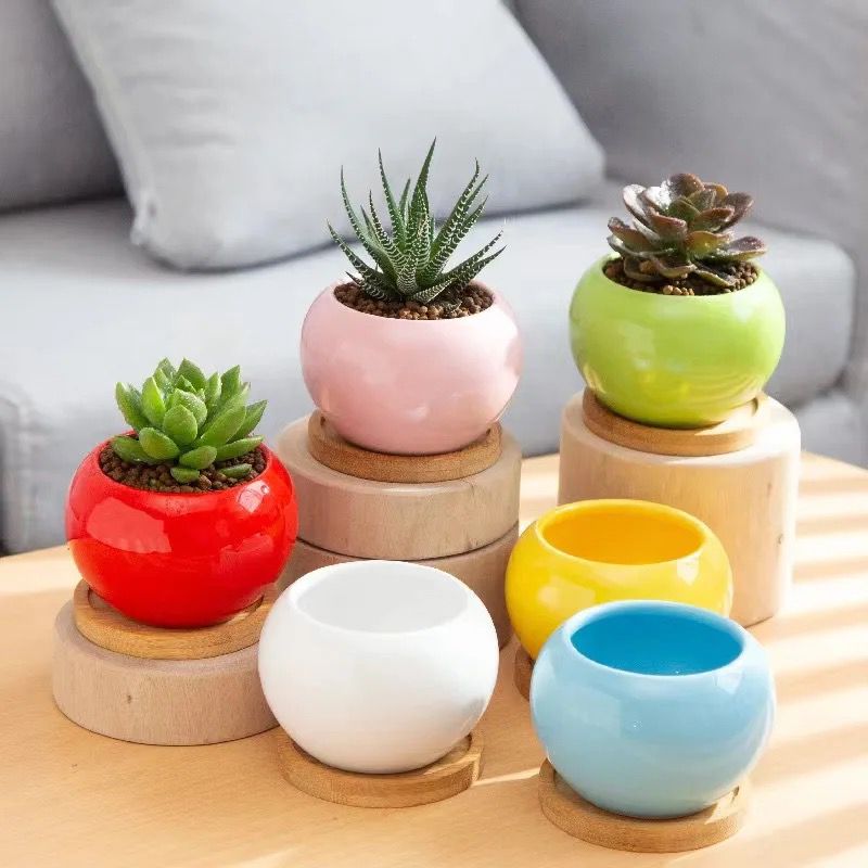 Glazing ceramic planter combo offer(set of 10 different colors)