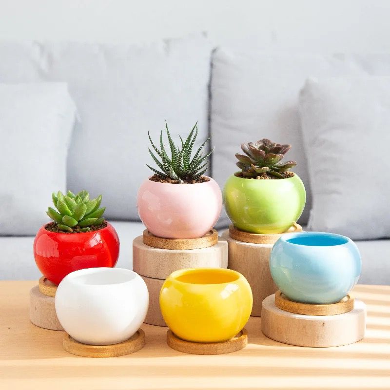 Glazing ceramic planter combo offer(set of 10 different colors)