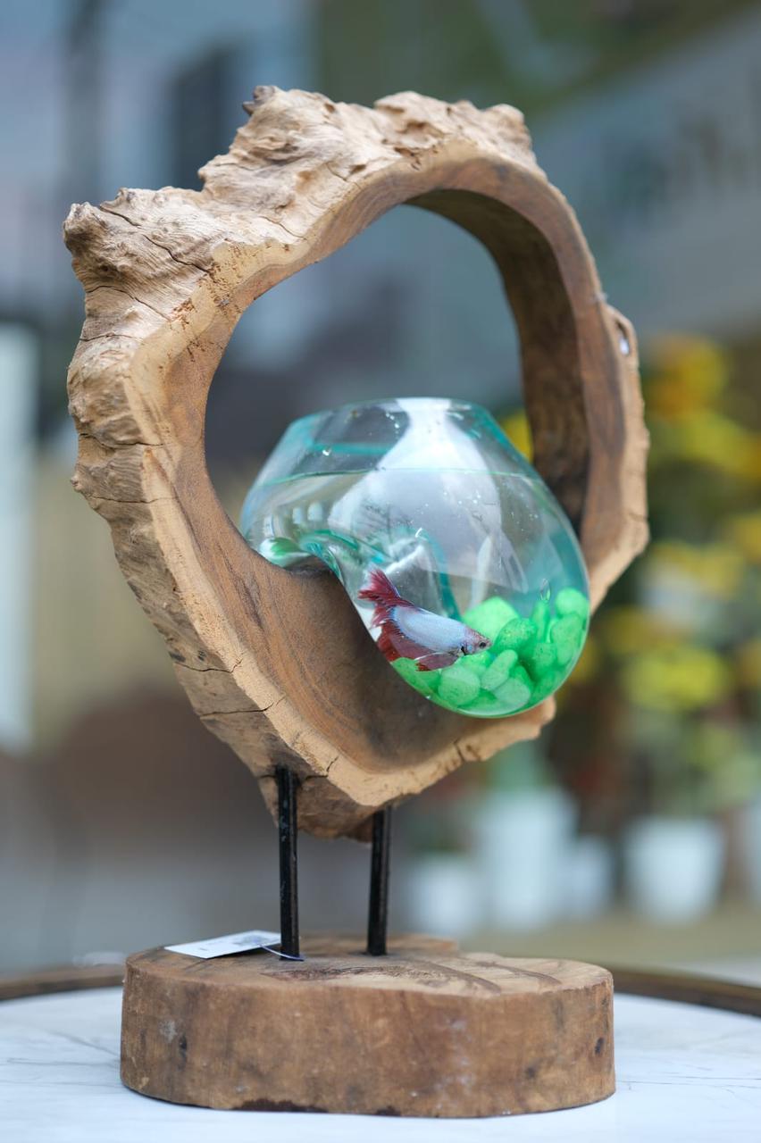 Molten Glass on teak Driftwood-Archflow