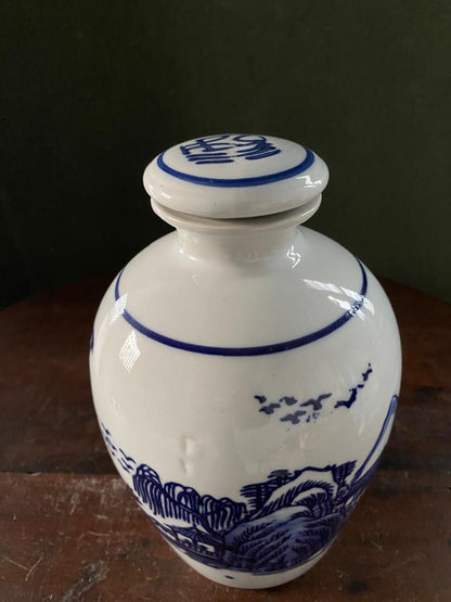Imported Blue & White Chinese Porcelain Vase | Decorative Oriental Ceramic Flower Vase | Chinoiserie Home Decor