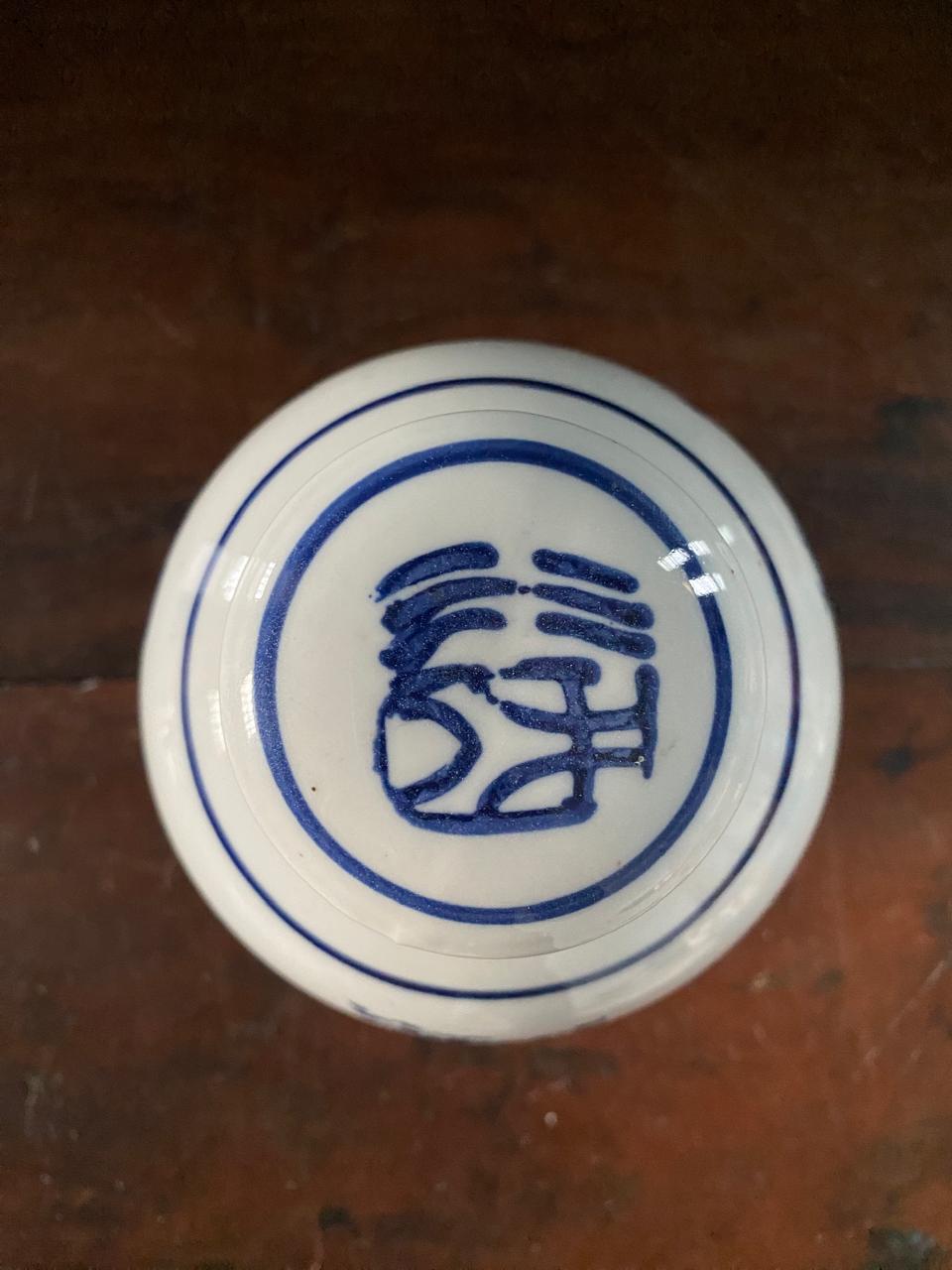 Imported Blue & White Chinese Porcelain Vase | Decorative Oriental Ceramic Flower Vase | Chinoiserie Home Decor