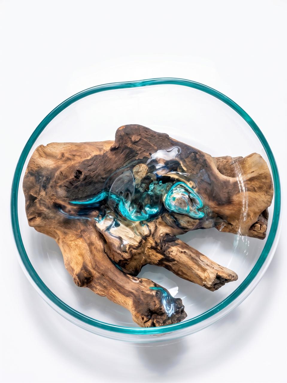 Molten Glass on  Driftwood-Oceanbowl(large)