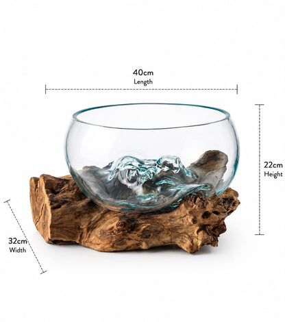 Molten Glass on  Driftwood-Oceanbowl(large)