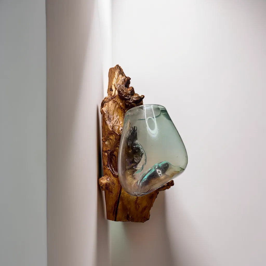 Molten Glass on Hanging polished Driftwood